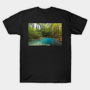 Ochiul Beiului lake in Romania T-Shirt